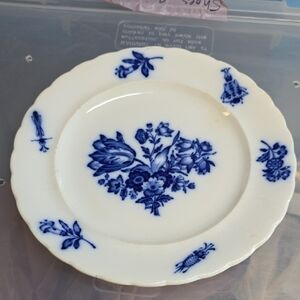 Meissen Blue Insect Plate